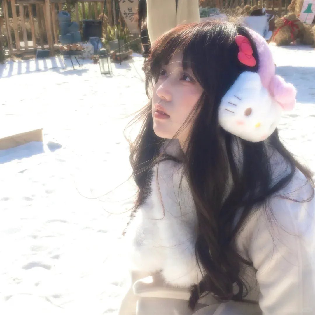 科搜研之女第23季